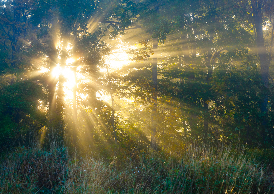 Mindset Transformation & Emotional Healing Ritual