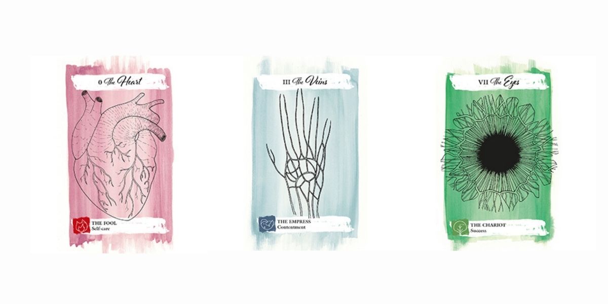 The Body Tarot [Original Deck]