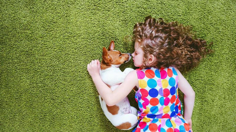 Remote Reiki Healing for Children & Animals